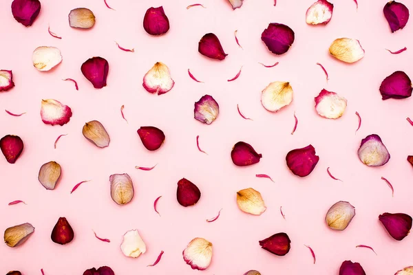 gül yaprakları üzerinde pembe bir arka plan