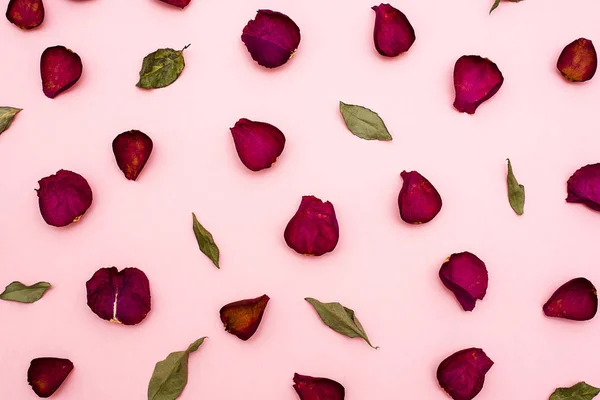 Yaprakları bordo ve yeşil yaprakları, pembe arka plan.