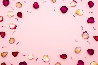 gül yaprakları üzerinde pembe bir arka plan