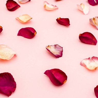 gül yaprakları üzerinde pembe bir arka plan