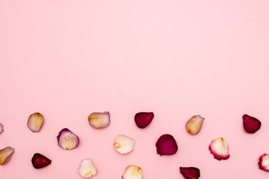 gül yaprakları üzerinde pembe bir arka plan