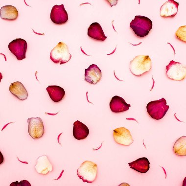 gül yaprakları üzerinde pembe bir arka plan