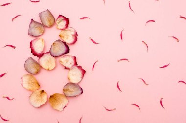 Sekiz numara pembe bir arka plan üzerinde kurutulmuş gül yaprakları ile kaplı