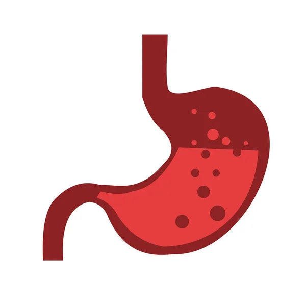 Imagen vectorial del estómago humano en rojo sobre fondo blanco — Vector de stock
