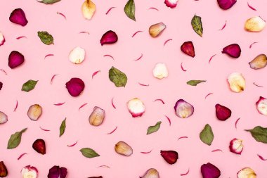 Bordo gül yaprakları vardır ve bir pembe yeşil yaprakları .