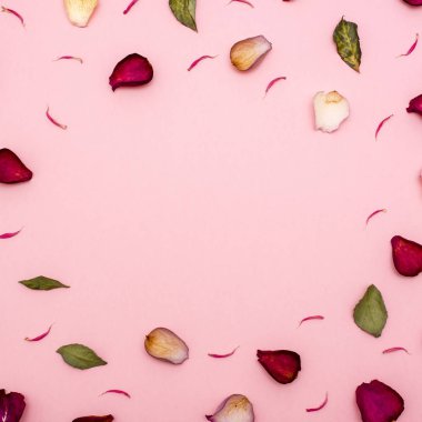 Gül yaprakları bordo ve yeşil yaprakları bir pembe. Üstten görünüm. Tebrikler, kartpostal için boş.