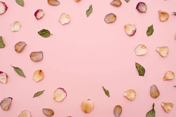 Rose petals and green leaves on pink background.