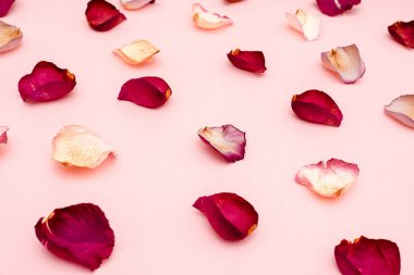 gül yaprakları üzerinde pembe bir arka plan