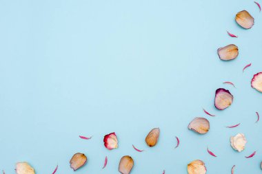 Arka plan mavi bir arka plan üzerinde gül yaprakları