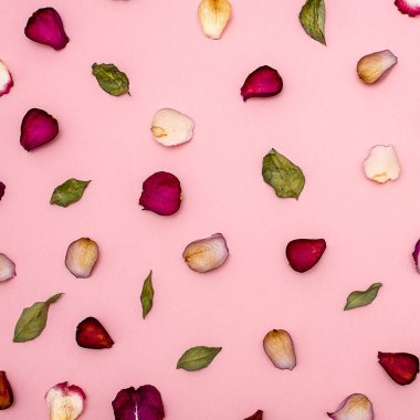 Bordo gül yaprakları vardır ve bir pembe yeşil yaprakları .