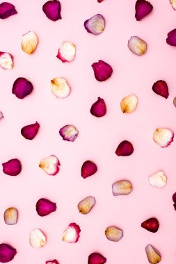 gül yaprakları üzerinde pembe bir arka plan