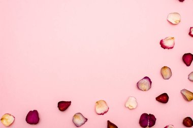 gül yaprakları üzerinde pembe bir arka plan