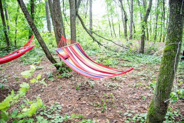Hamaklar ve halatlar dinlenmek ve faaliyetleri için ormandaki son derece gergin