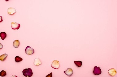 gül yaprakları üzerinde pembe bir arka plan