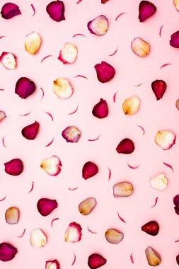 gül yaprakları üzerinde pembe bir arka plan