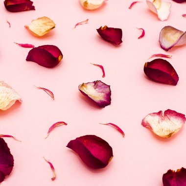 gül yaprakları üzerinde pembe bir arka plan