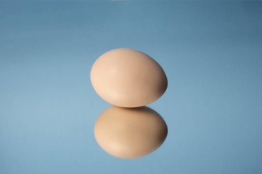 Bir kahverengi yumurta ve bir mavi arka planı yansıtmadaki onun yansıması .