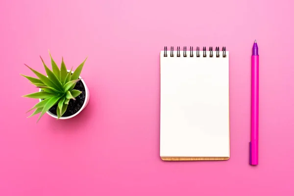 Caderno em branco com espiral para a aplicação de rótulos, caneta e aloés Vera em vaso sobre fundo rosa — Fotografia de Stock