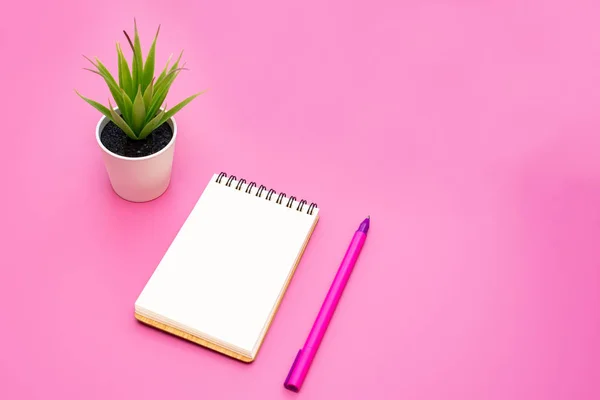 Caderno em branco com espiral para a aplicação de rótulos, caneta e aloés Vera em vaso sobre fundo rosa — Fotografia de Stock