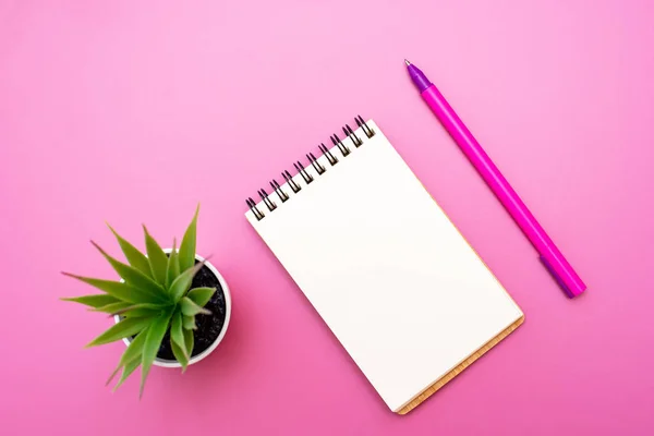 Caderno em branco com espiral para a aplicação de rótulos, caneta e aloés Vera em vaso sobre fundo rosa — Fotografia de Stock
