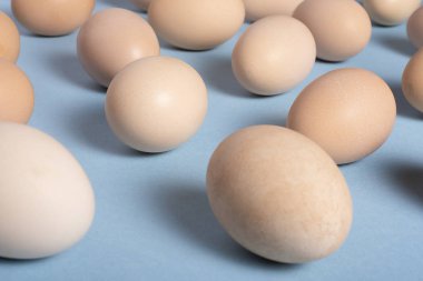 Kahverengi mavi arka plan üzerinde yumurta. Stüdyoda vurdu.