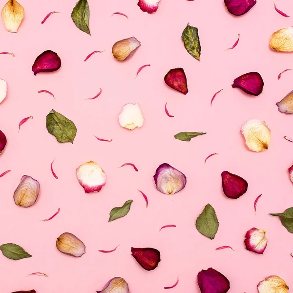 Rose petals are maroon and green leaves on a pink background .