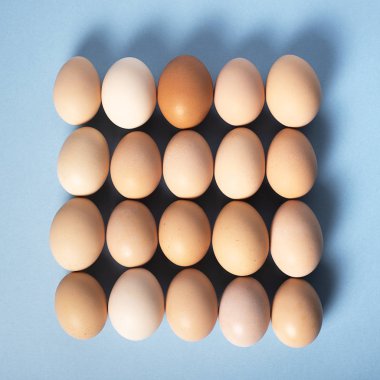 Mavi arka planda bir meydanda kahverengi yumurta. Stüdyo shot.