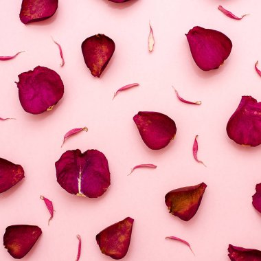 Gül yaprakları bir pembe Bordo