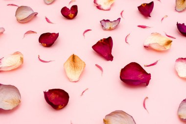 gül yaprakları üzerinde pembe bir arka plan