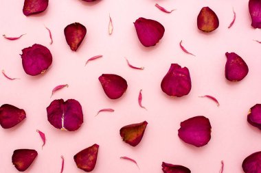 Gül yaprakları bir pembe Bordo