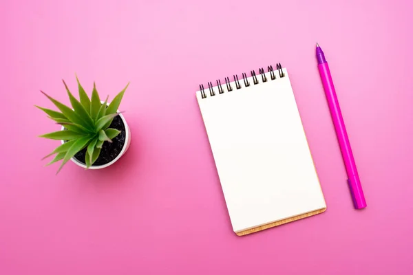 Caderno em branco com espiral para a aplicação de rótulos, caneta e aloés Vera em vaso sobre fundo rosa — Fotografia de Stock