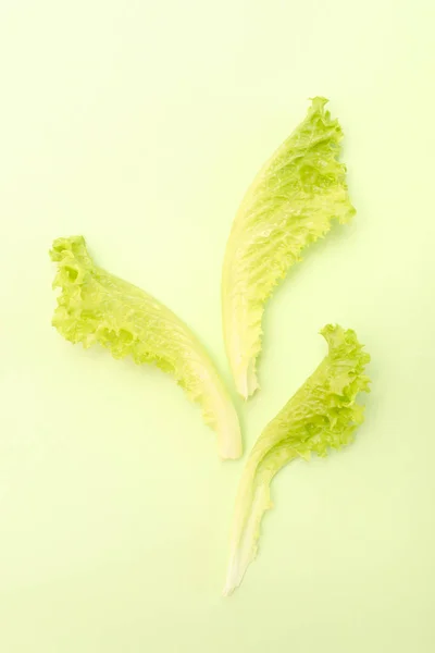 Три листья салата на зеленом — стоковое фото