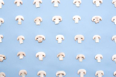 Mavi zemin üzerine dilimlenmiş mantar