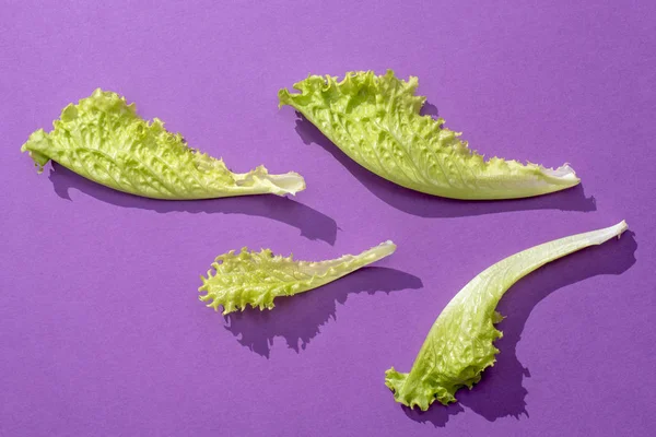 Пять листьев салата на фиолетовом — стоковое фото