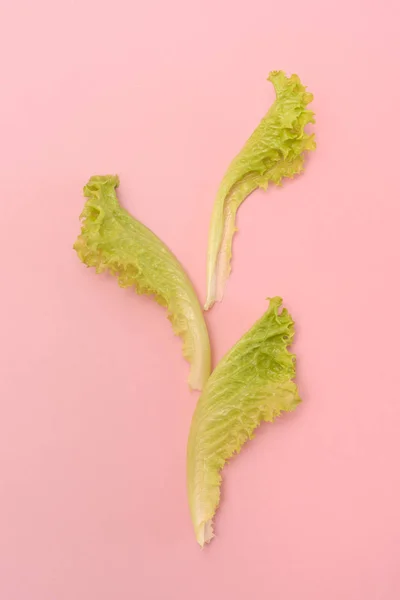Drei Blätter Salat auf rosa — Stockfoto
