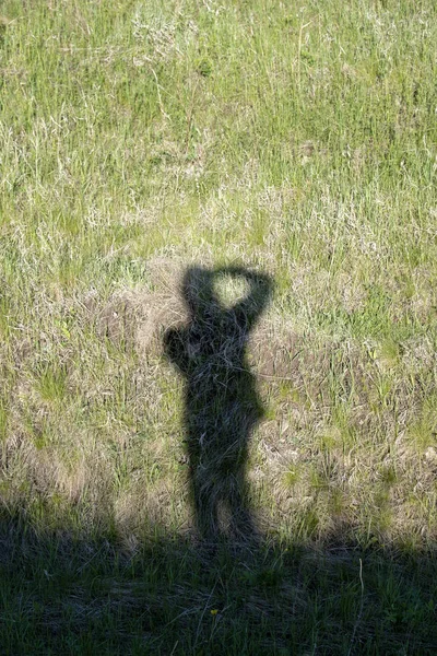 The photographer\'s shadow on the summer grassy ground .