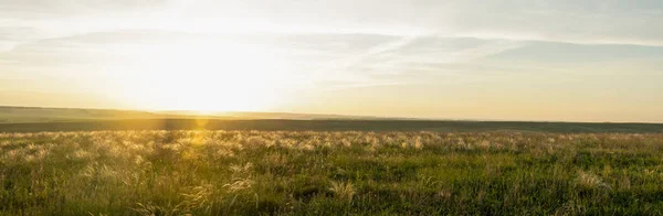 Piękny zachód słońca na letnim polu — Zdjęcie stockowe