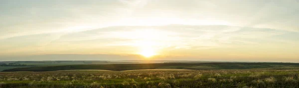 Beautiful sunset on summer field — Stock Photo, Image