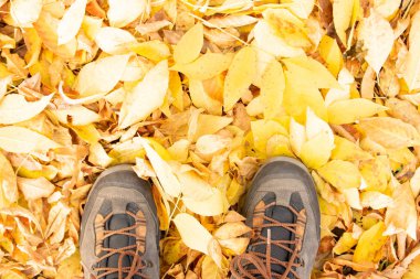 Sarı sonbahar yaprakları ve trekking botları