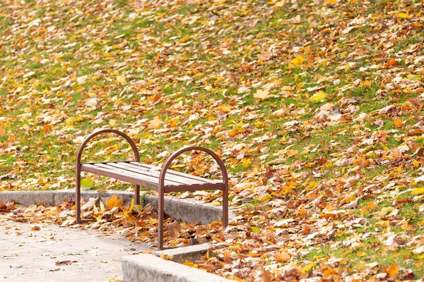 Bänke im Herbstpark — Stockfoto