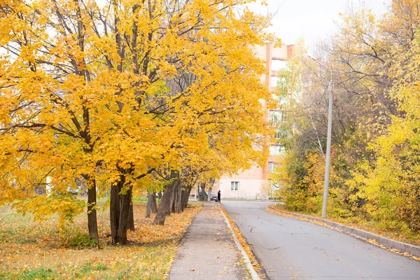 Herbststraße mit Streublatt — Stockfoto