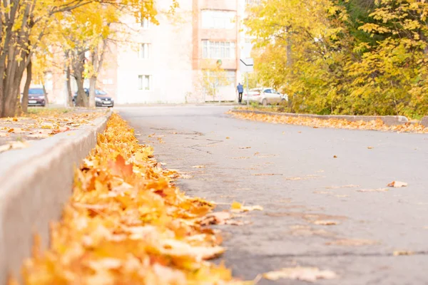 Herbststraße mit Streublatt — Stockfoto