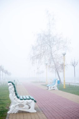 Sonbahar günü banklar ile Şehir kaldırım