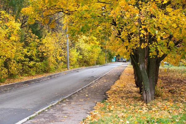 Estrada de outono com folha de areia — Fotografia de Stock