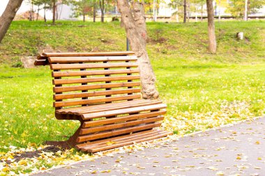 Sonbahar parkında tezgah.