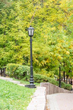 Sarı ağaçlarla sonbahar kentsel parkı