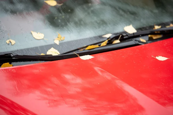 Gele bladeren in de herfst dag op rode auto — Stockfoto