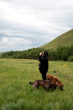 Uzağa bakan dürbünlü bir adam. Tarlada iki köpek varken. Yaz.