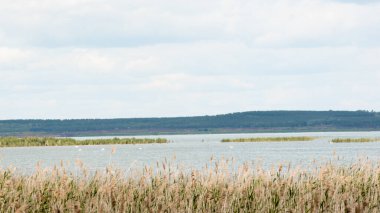 Güneşli bir yaz gününde berrak mavi suyu olan güzel bir göl. Peyzaj.