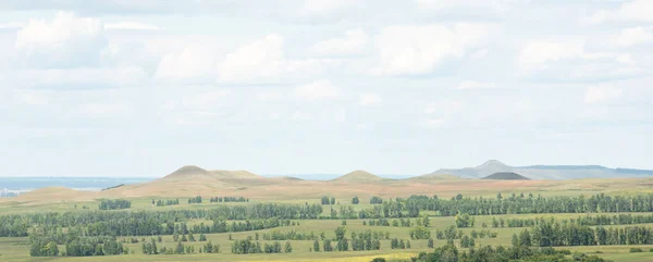 Schöne Glatte Grüne Hügel Einem Sonnigen Sommertag Landschaft — Stockfoto